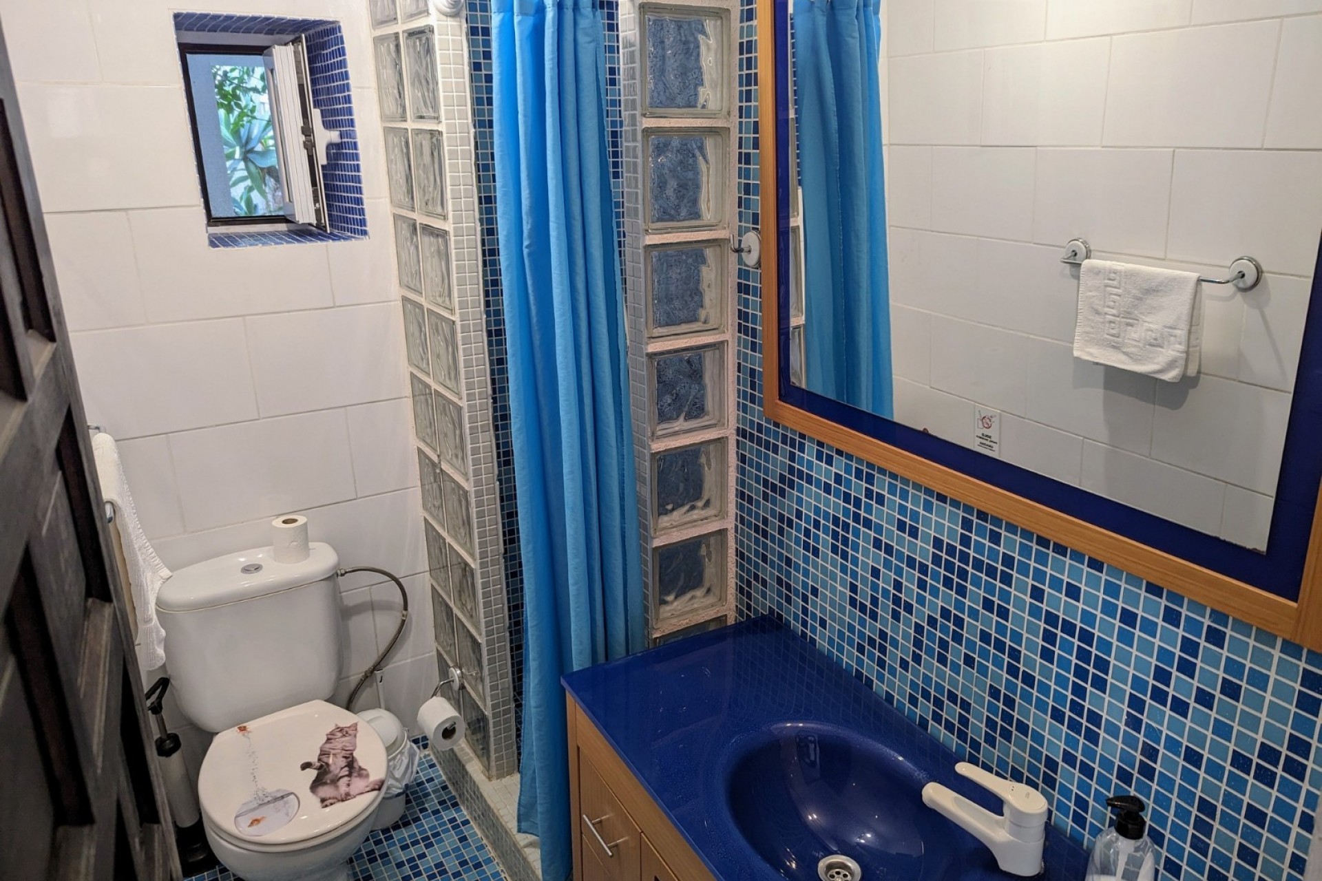 11 Bedrooms Bedrooms, ,8 BathroomsBathrooms,Villa,For Sale,1038